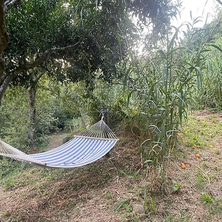 Nascente, Place In Nature Next To A Waterfall Loureiro  Ngoại thất bức ảnh