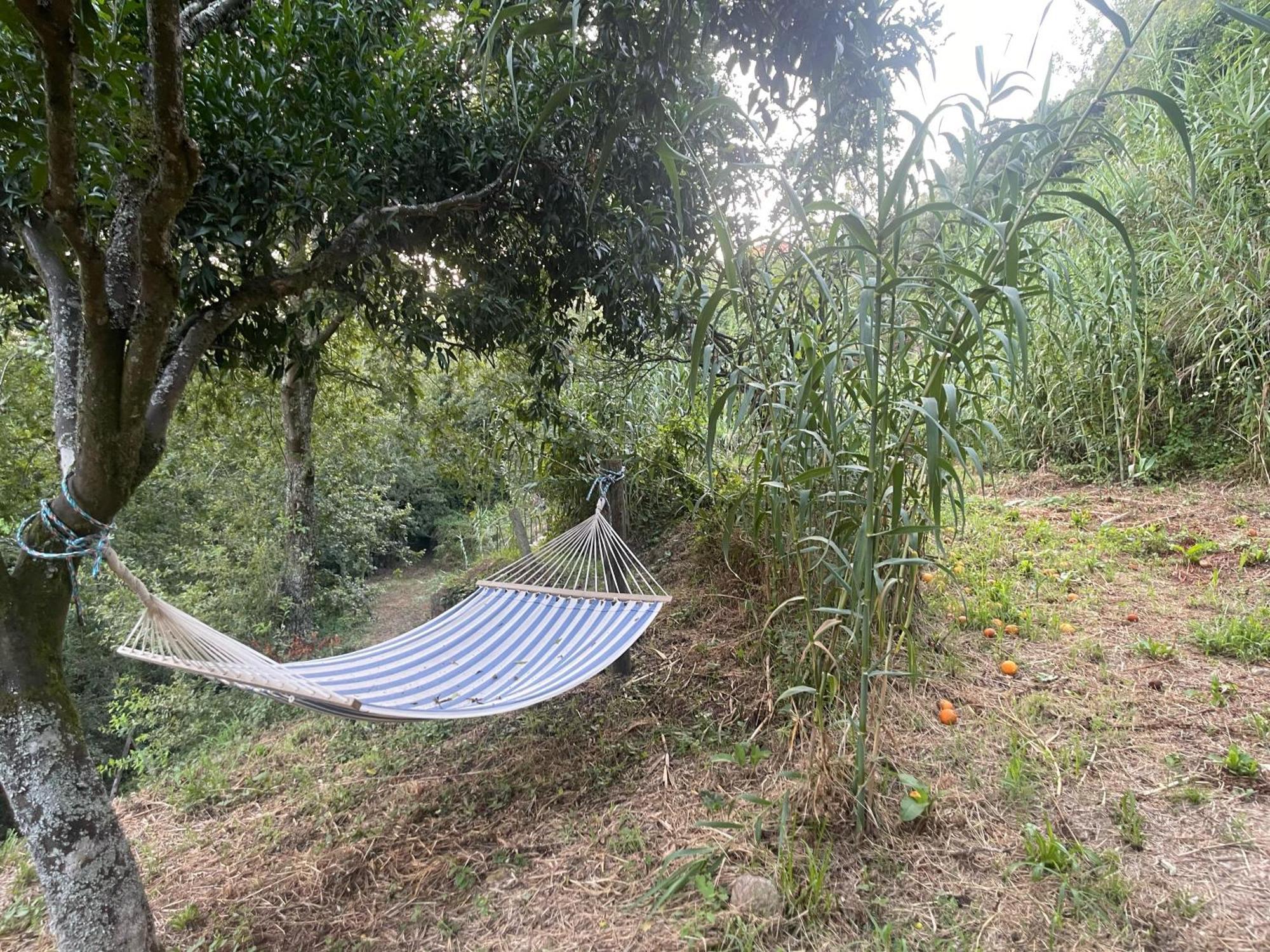 Nascente, Place In Nature Next To A Waterfall Loureiro  Ngoại thất bức ảnh
