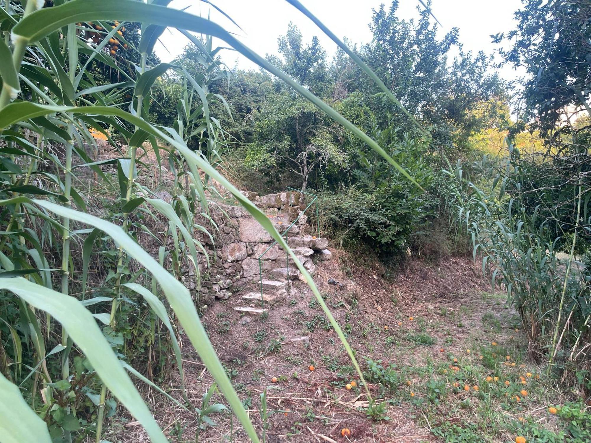 Nascente, Place In Nature Next To A Waterfall Loureiro  Ngoại thất bức ảnh
