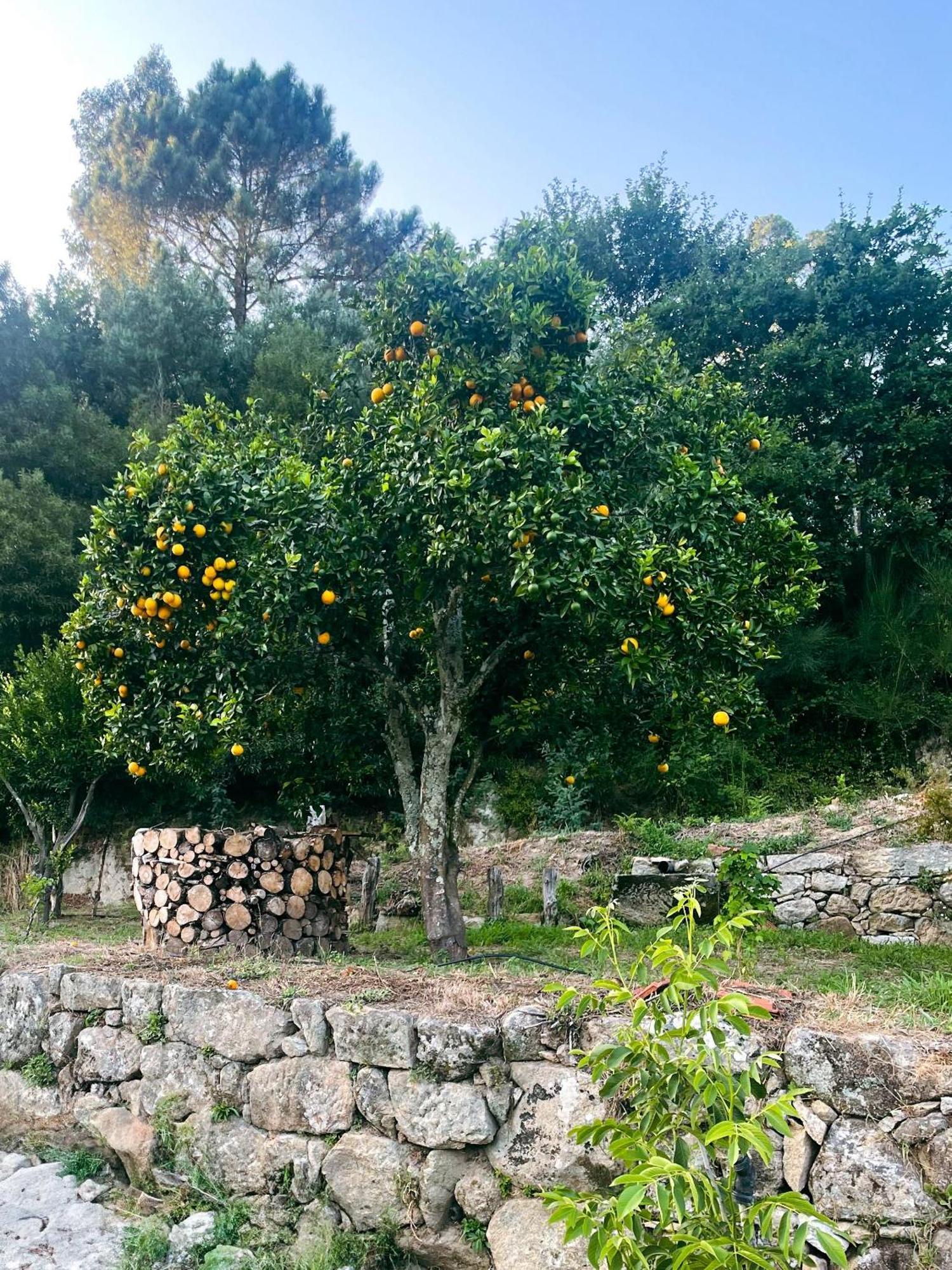 Nascente, Place In Nature Next To A Waterfall Loureiro  Ngoại thất bức ảnh