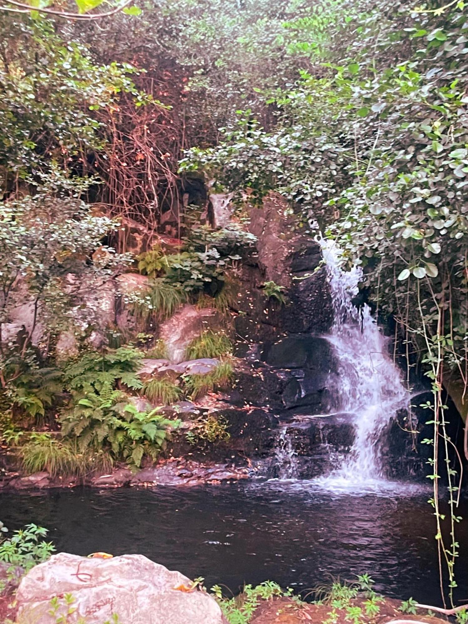 Nascente, Place In Nature Next To A Waterfall Loureiro  Ngoại thất bức ảnh